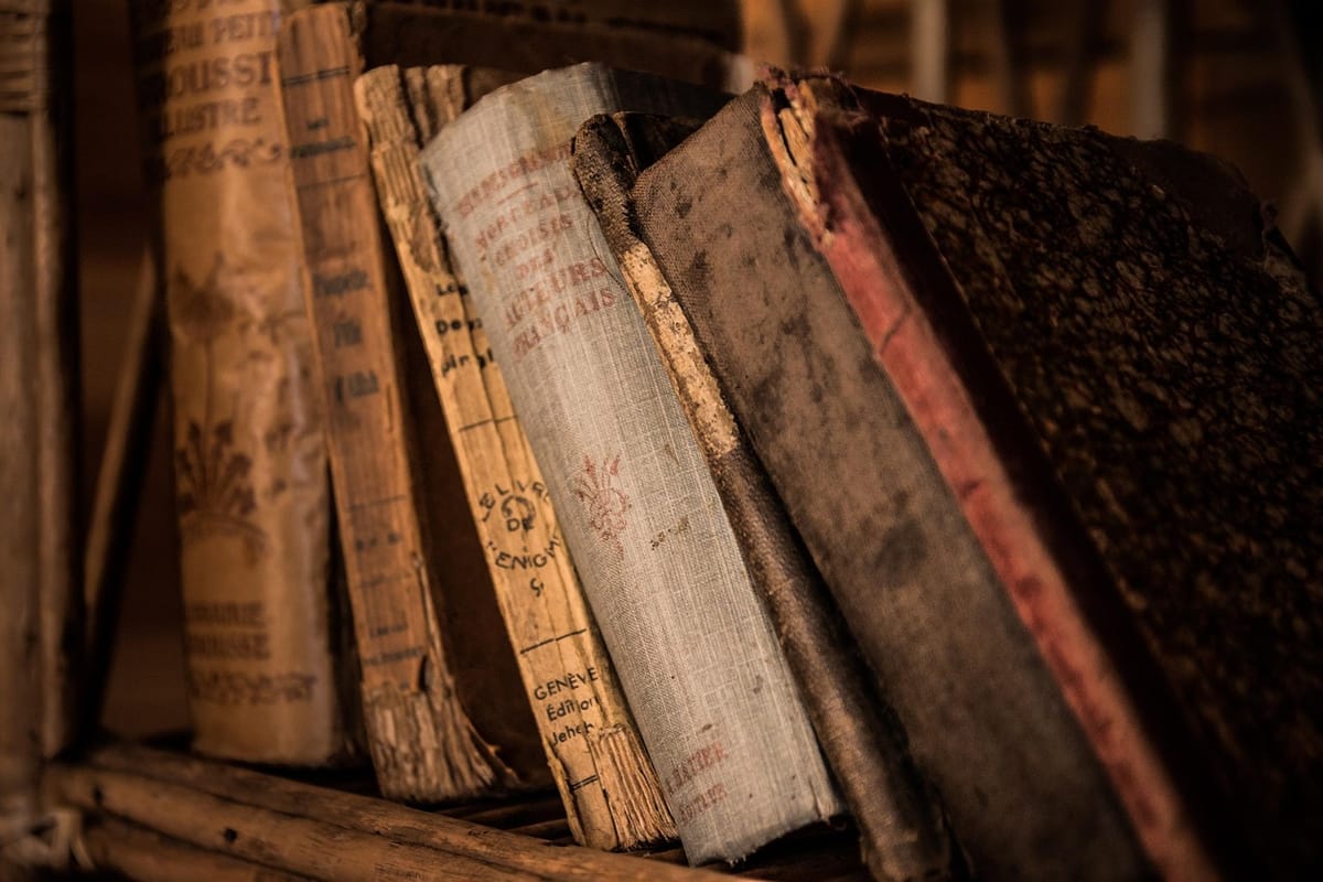 The Karoo's book culture will outlive the algorithm