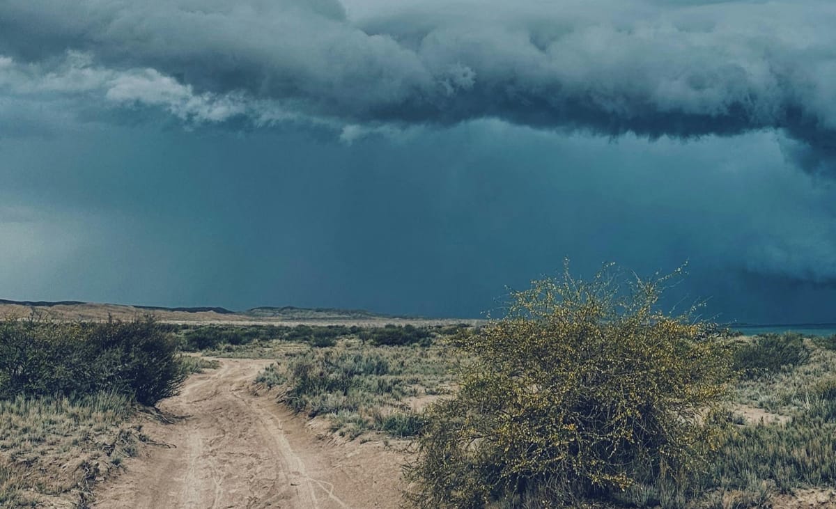 How floodwater transforms a “dead” Karoo landscape overnight