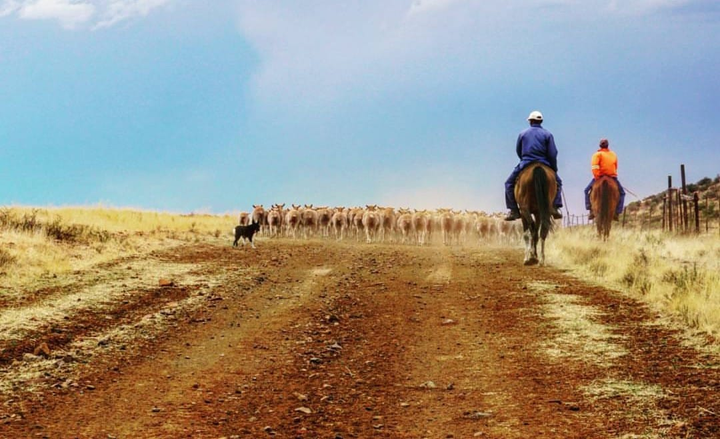 Zen and the art of photographing the Karoo