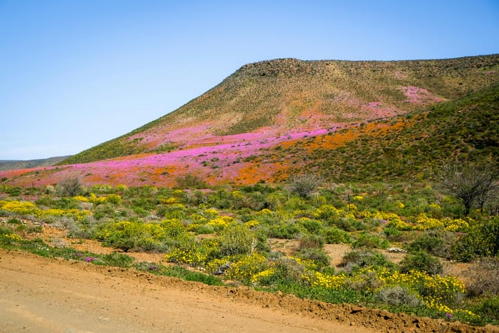Finding quiet moments in a Karoo day