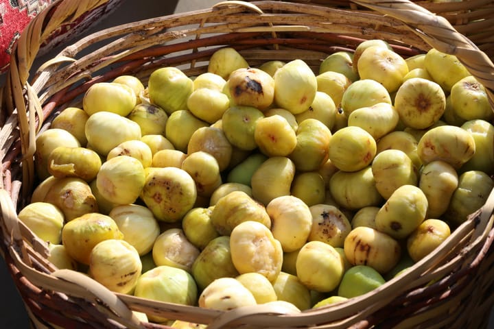 The veld food revival