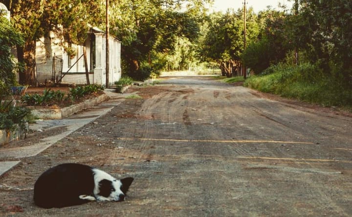 The difference between loneliness and solitude here