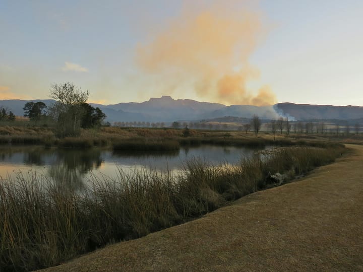 The ecology of a farm dam