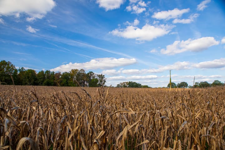 Can a wet winter still end in drought?