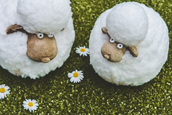 What the Karoo Winter Wool Festival revealed about rural manufacturing