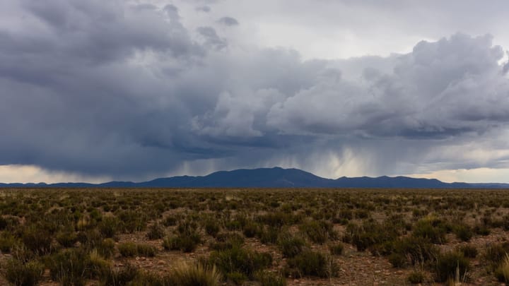 Why the Karoo smells so strongly after rain