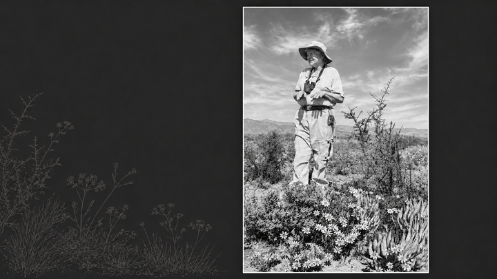 The scientist who fell into conversation with the Karoo